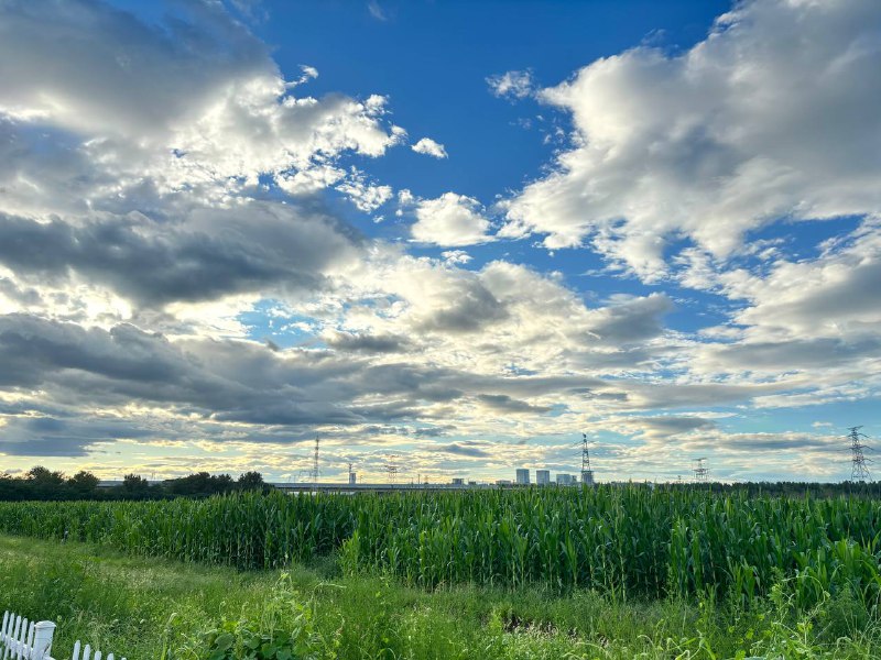 一整天的云，是秋天的那种秋