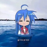 TwT无广更新频道