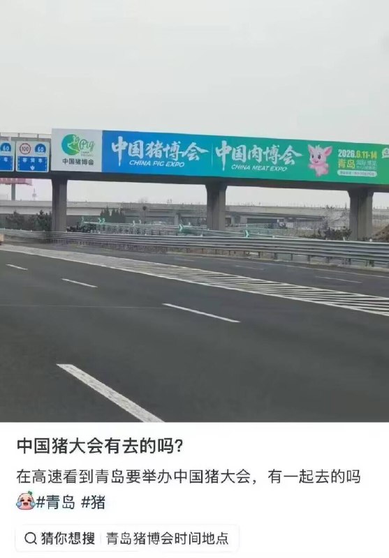 群友大会有群友去吗