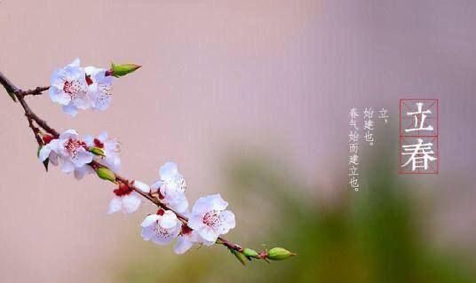 📖 夜读札记 | 如何在数字时代深度思考碎片化信息泛滥的当下，我们似乎习惯了“滑动-略过-遗忘”的循环