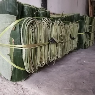 Export Banana Leaf From INDONESIA Telegram Group Link