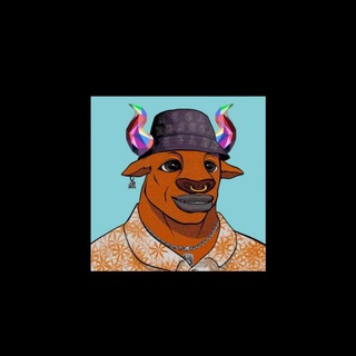 DBMETA 🥇