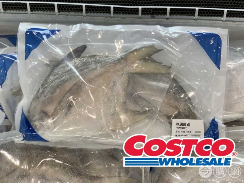 只有過年期間會有的白鯧魚COSTCO上架囉，乾煎、清蒸都適合~新商品情報連結 