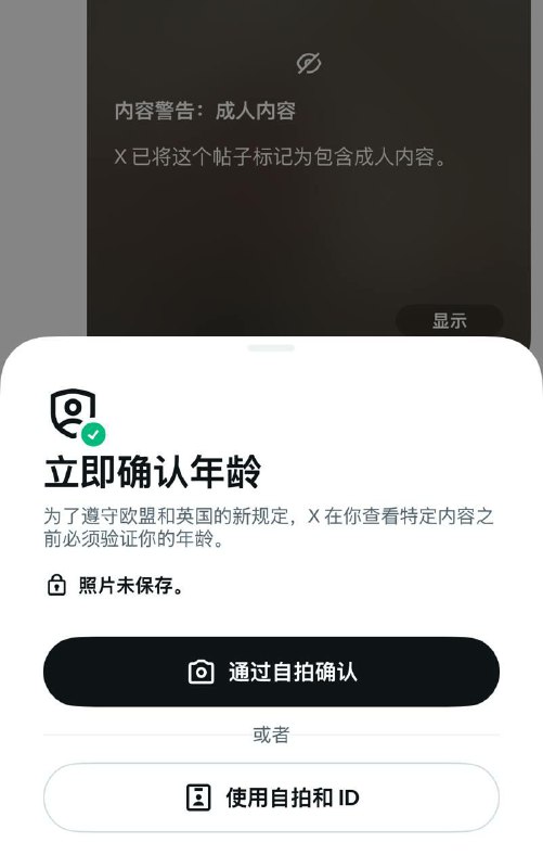 为了遵守欧盟和英国的新规定,X在你查看特定内容之前必须验证你的年龄