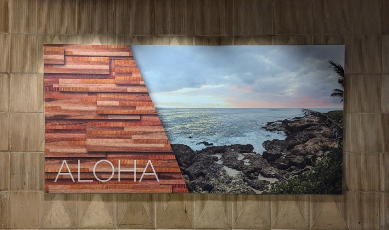 物理治療中！過冬，年年嚷著夏威夷，歲歲都在加勒比