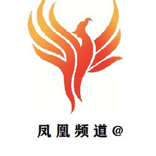 凤凰 🌟TG中文 搜索频道