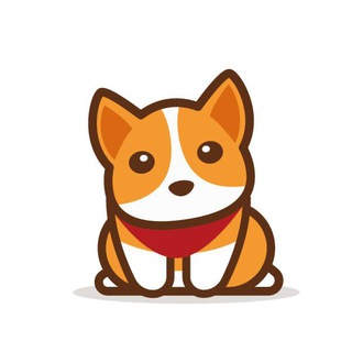 CCDOGE: SHIB Killer