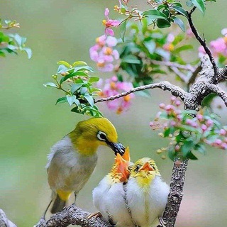 UPSC, RRB, SSC, State level jobs Updated 👍👍🤳 Telegram Group Link