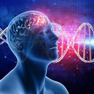 Psychology Study IGNOU Students Telegram Group Link