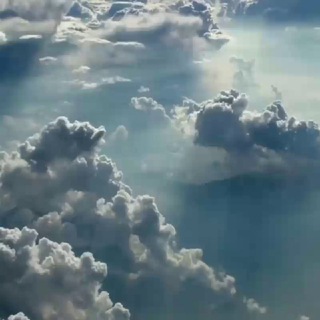 INDIAN NAVY EXAM Telegram Group Link