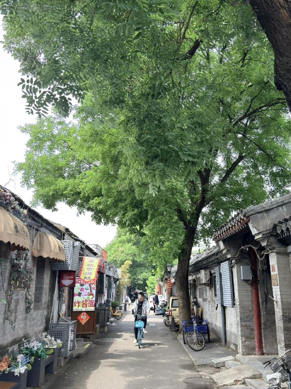 跟着老黄当一回北京游客第一次去南锣鼓巷第一次去潘家园各种纪念品文玩都比网上便宜北京人不坑游客啊@aigc1024跟着老黄当一回北京游客第一次去南锣鼓巷第一次去潘家园各种纪念品文玩都比网上便宜北京人不坑游客啊@aigc1024