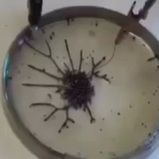 SG 🇸🇬 The Magnetic Group 🧲 Telegram Group Link